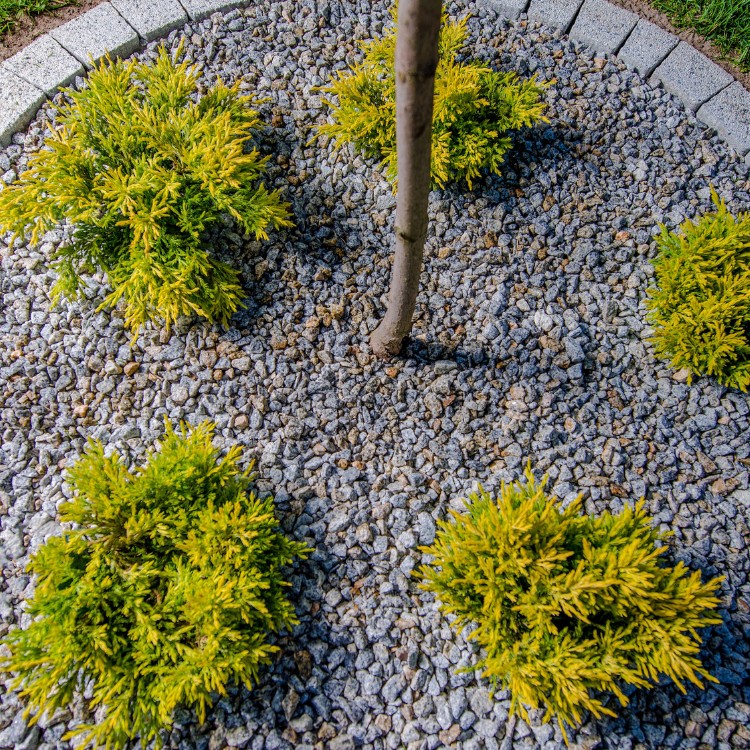 Landscaping Services in Portland, OR Landscaping Services in Portland, OR